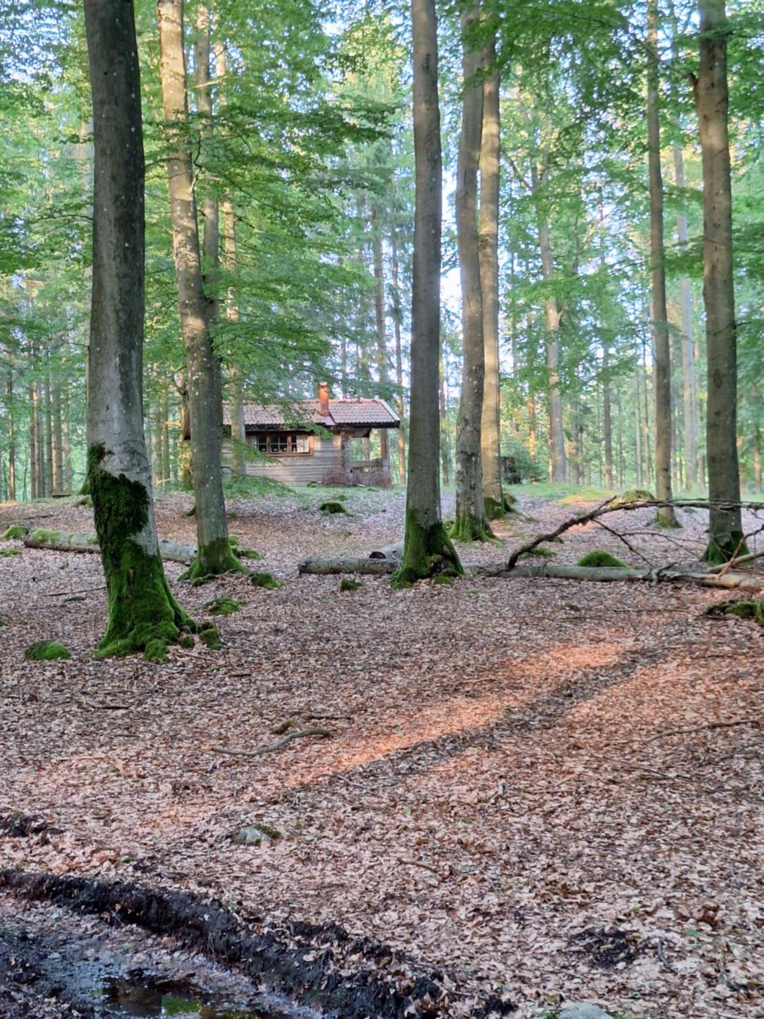 Bjaernhultsgardens Stugor Linderod Dış mekan fotoğraf