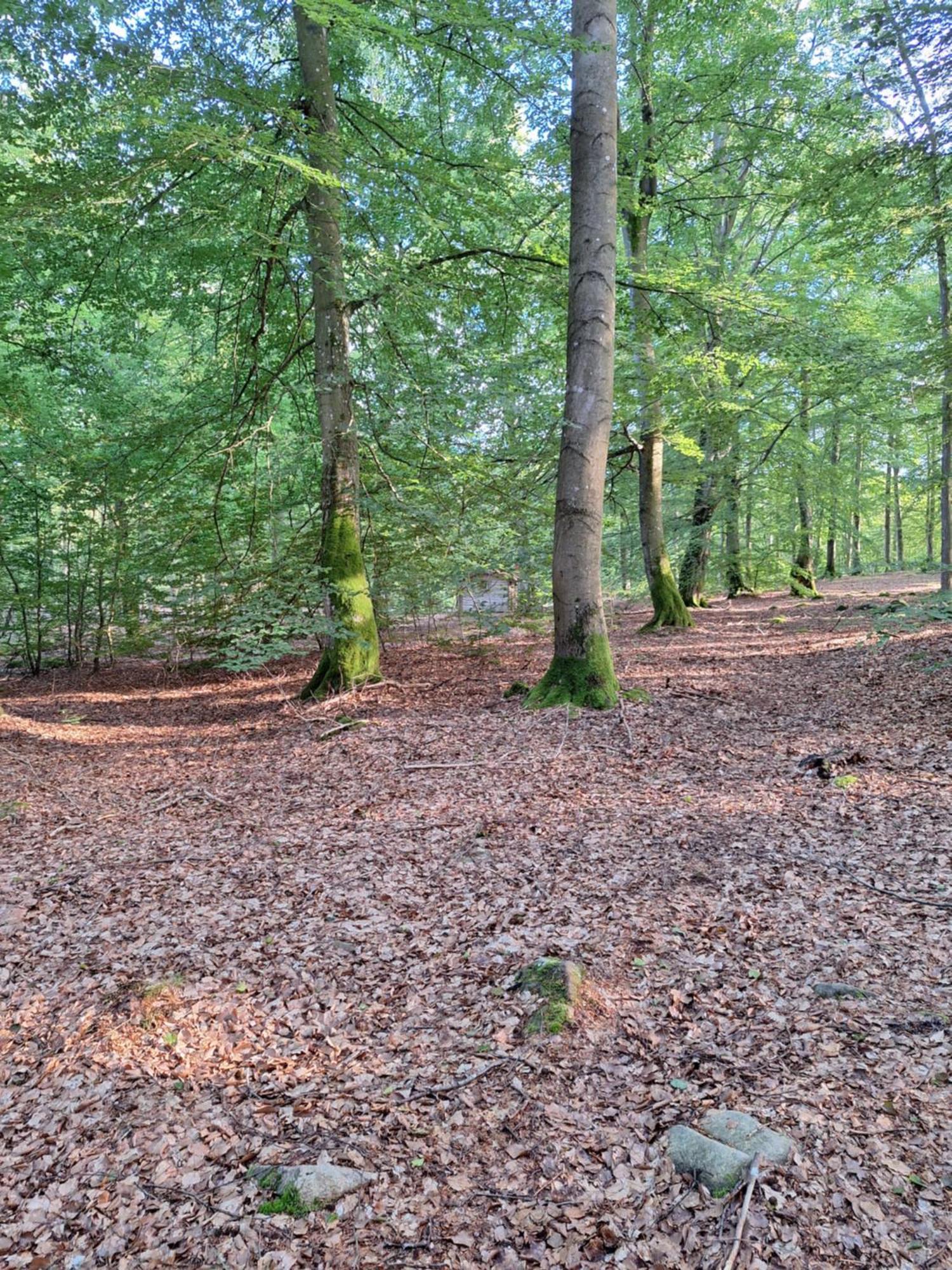 Bjaernhultsgardens Stugor Linderod Dış mekan fotoğraf